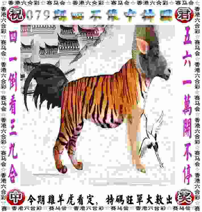 >77777788888王中王正版